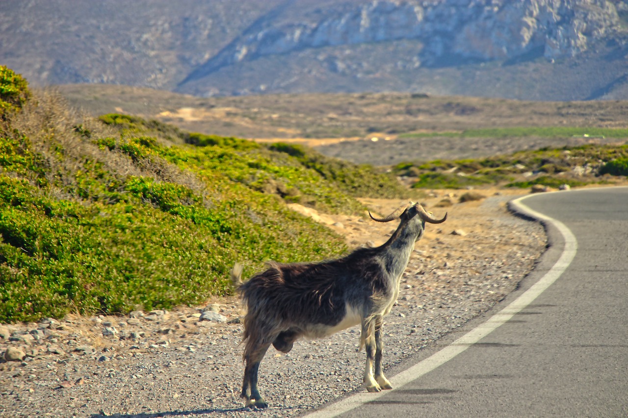 mole greece amazing free photo