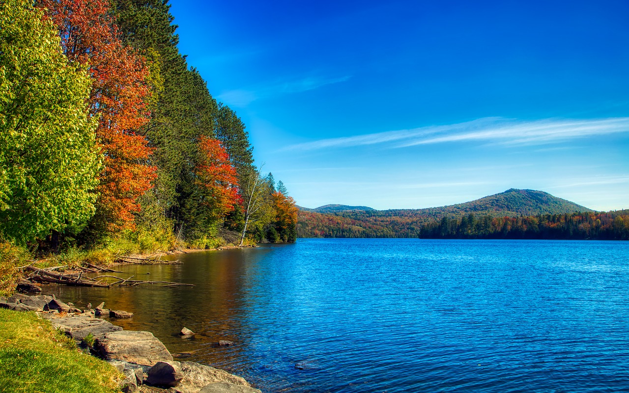 molly's falls pond  vermont  america free photo