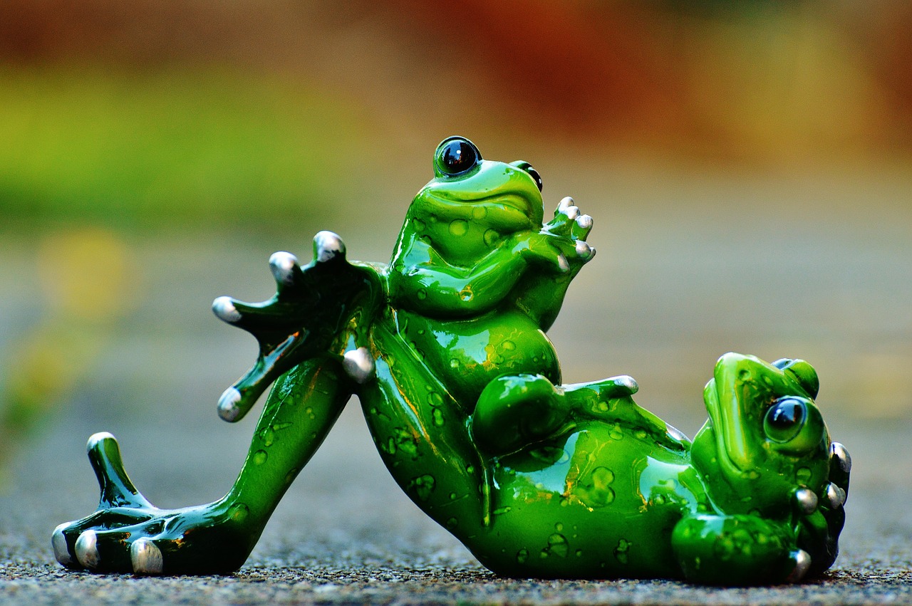 mom and child frogs funny free photo