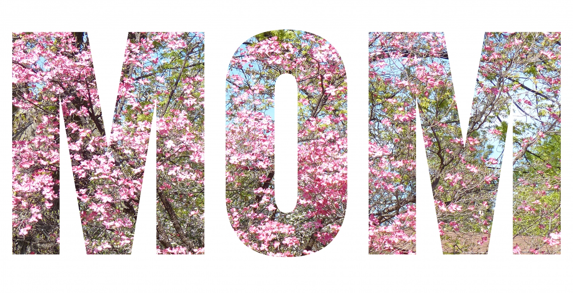 mom layered flowers free photo