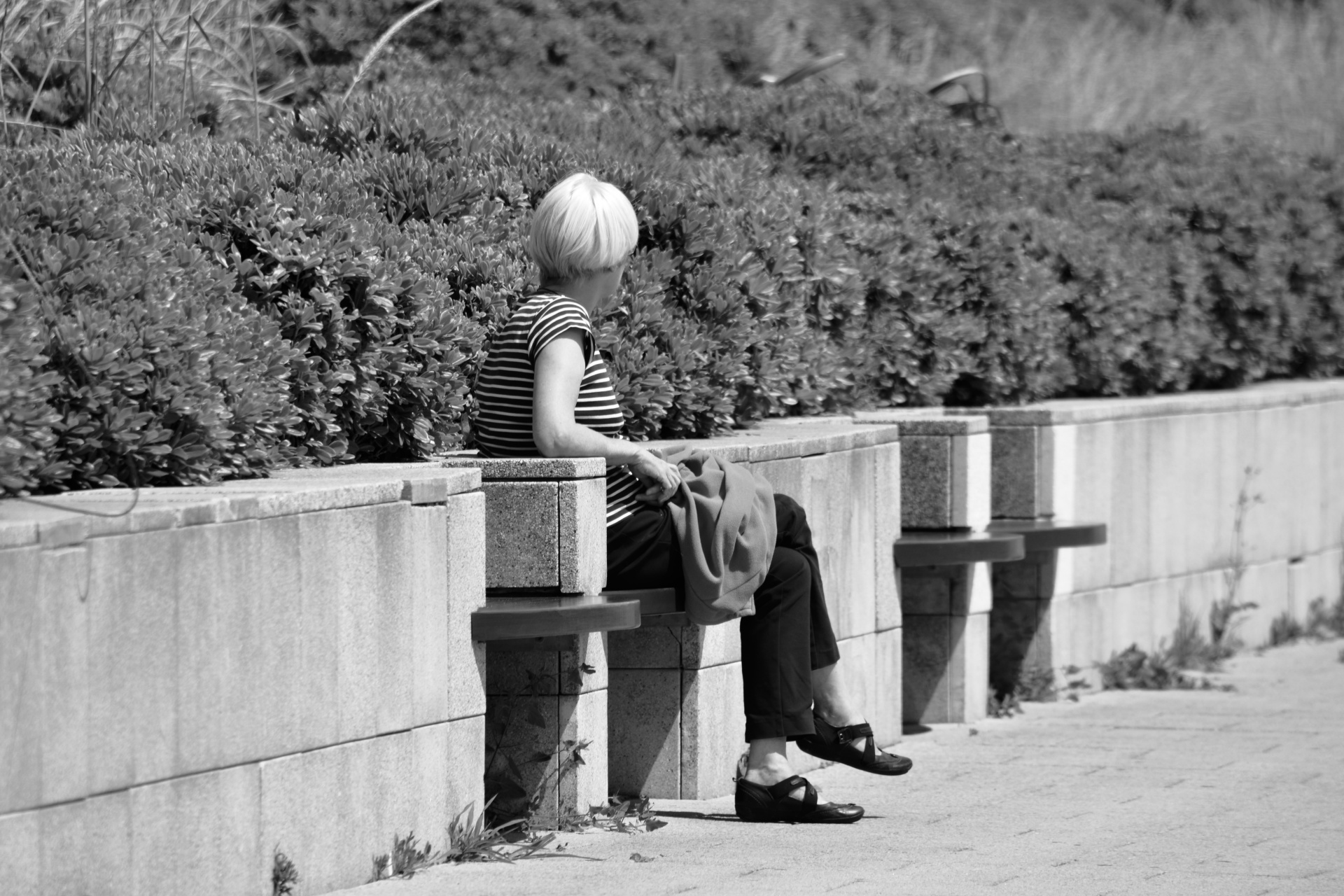 woman person sitting free photo