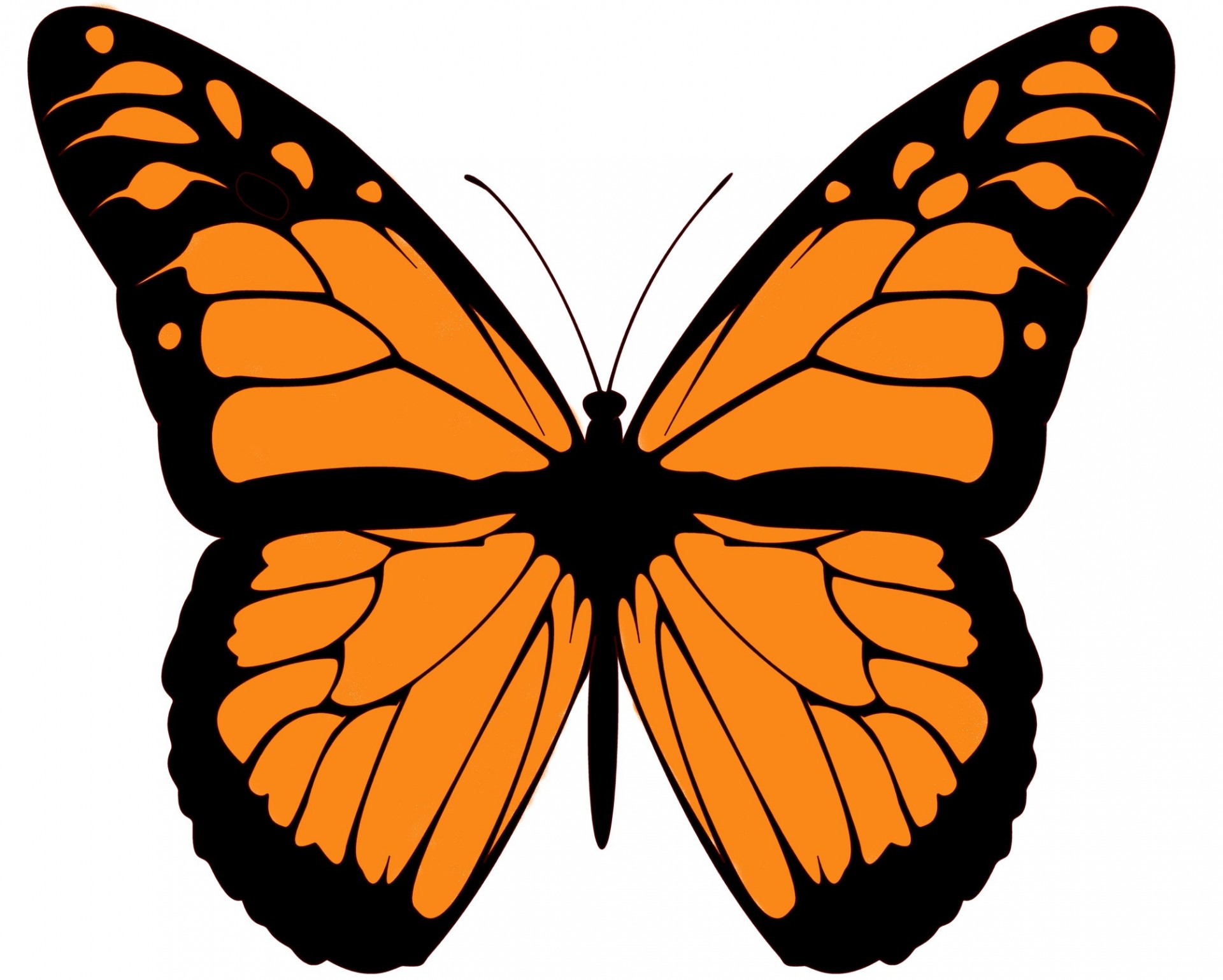 monarch butterfly clip art free photo