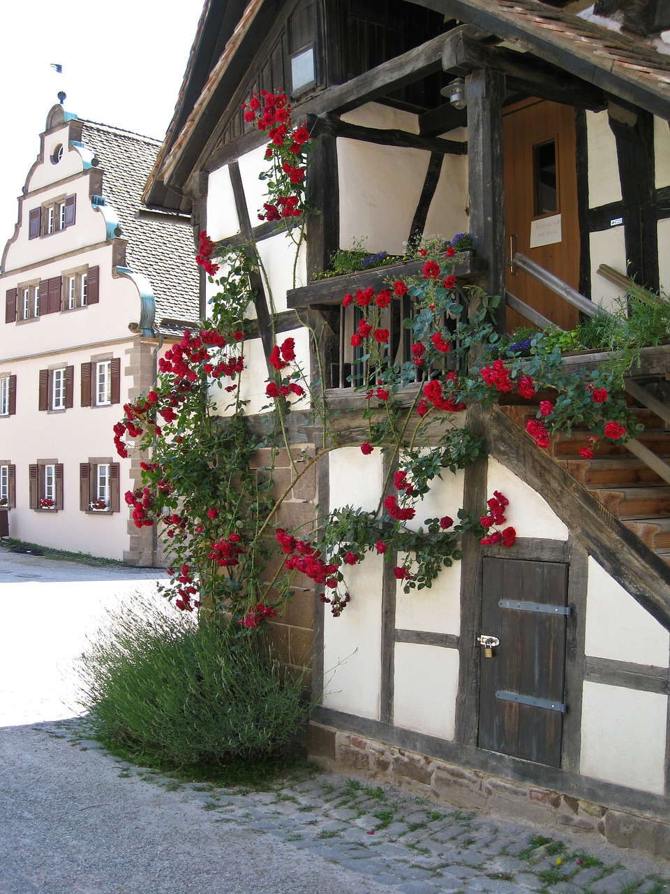 monastery maulbronn former monastery free photo