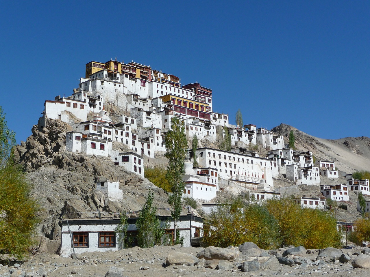 monastery ladakh india free photo