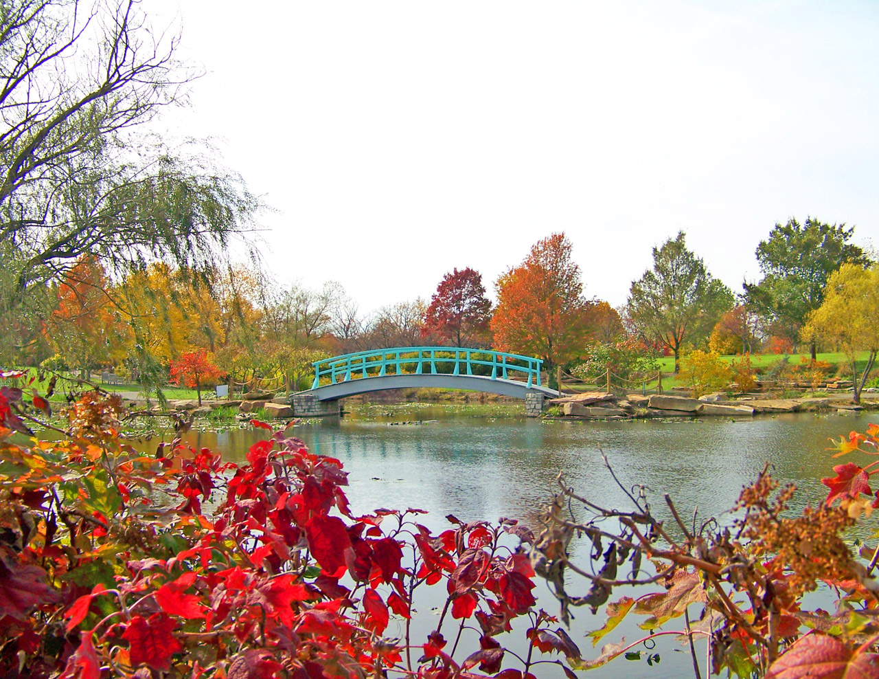 bridge park autumn free photo