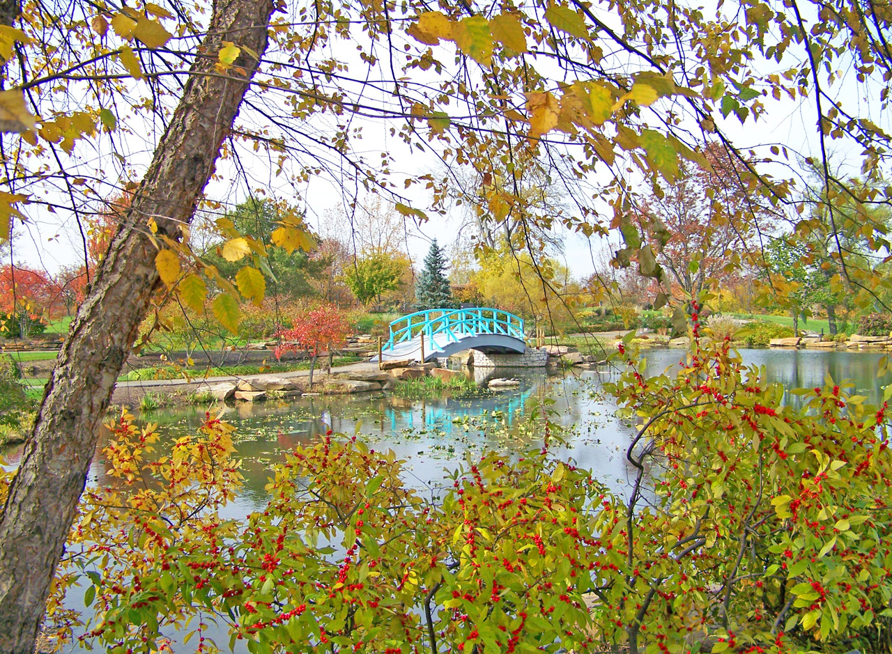 bridge park autumn free photo