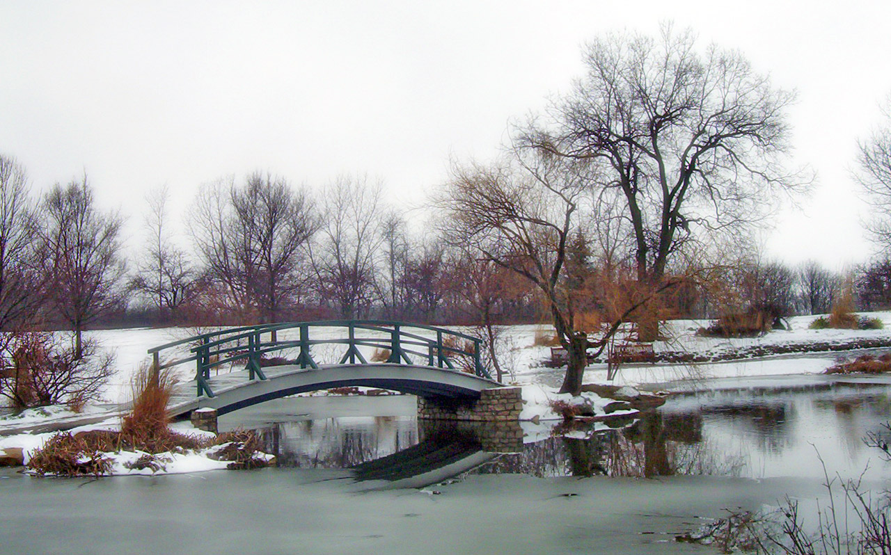 monet bridge city free photo