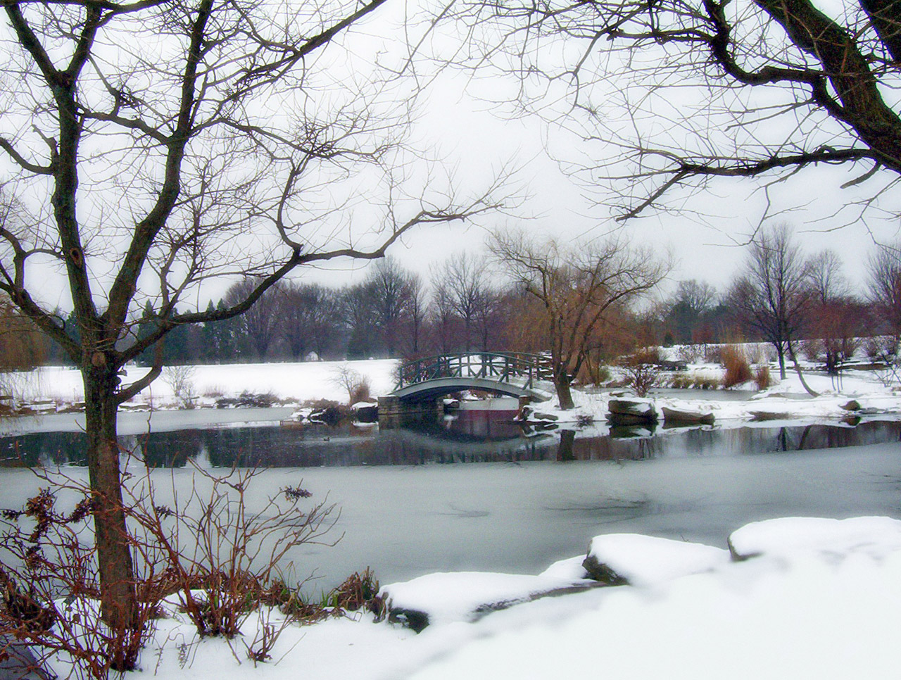 monet bridge city free photo