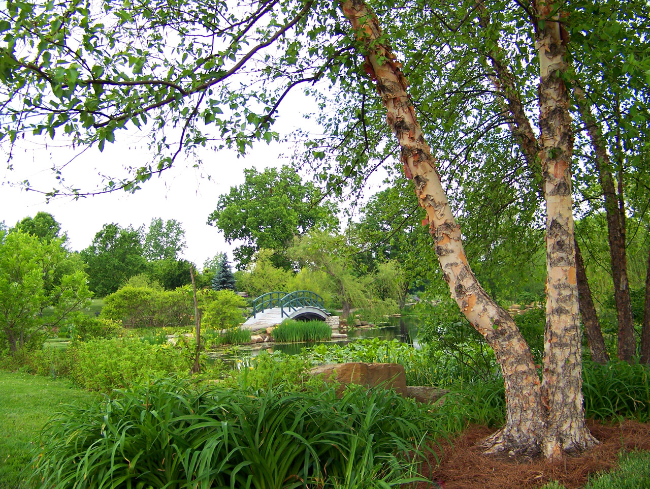 bridge park pond free photo