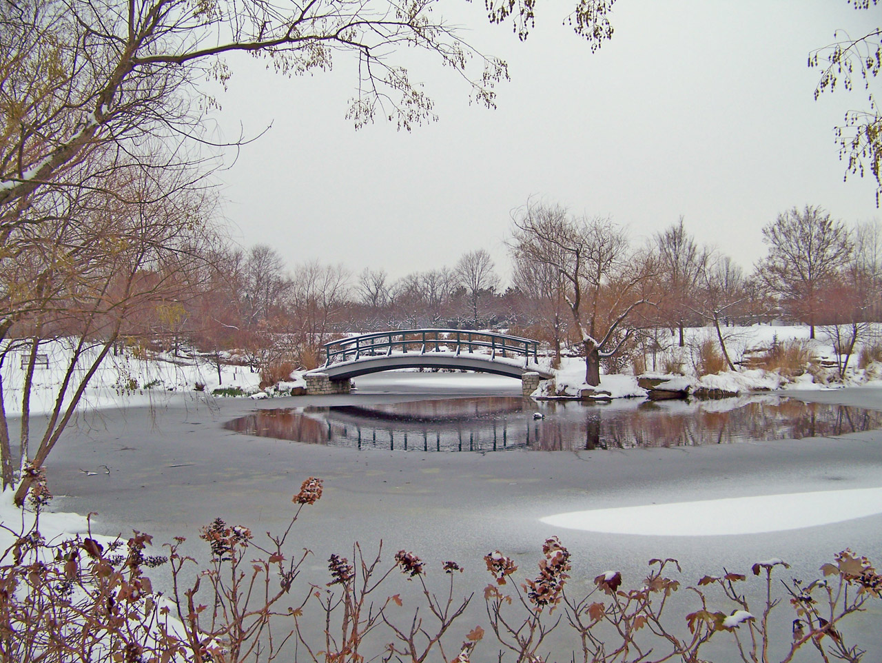 monet bridge park free photo