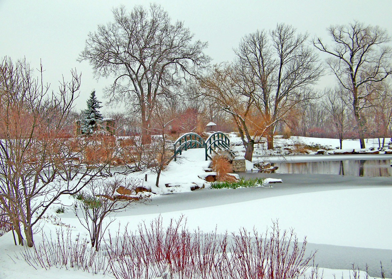 monet bridge park free photo