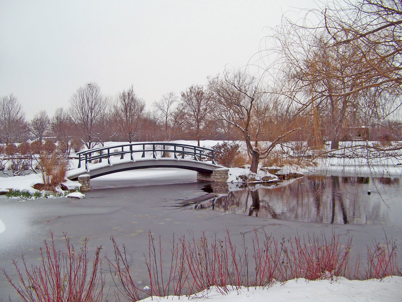 monet bridge park free photo