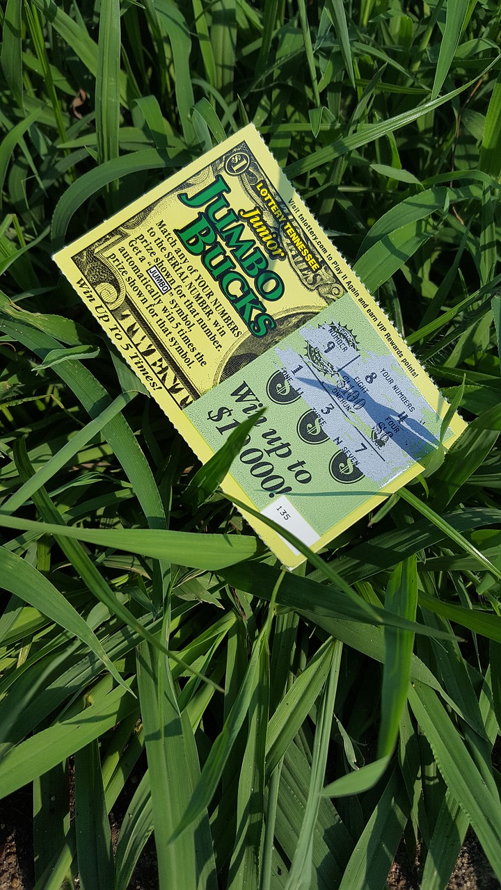 lotto ticket guess free photo