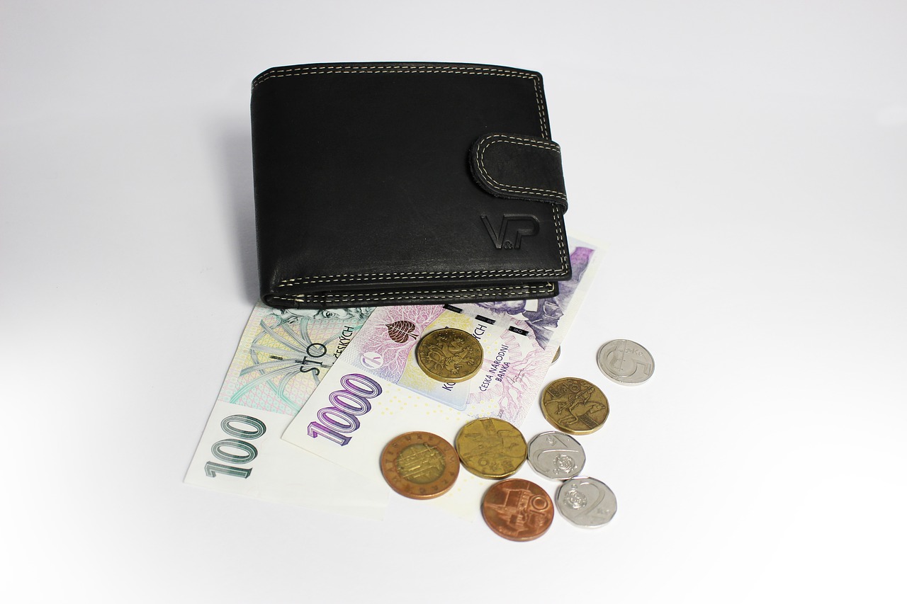 money wallet banknotes free photo