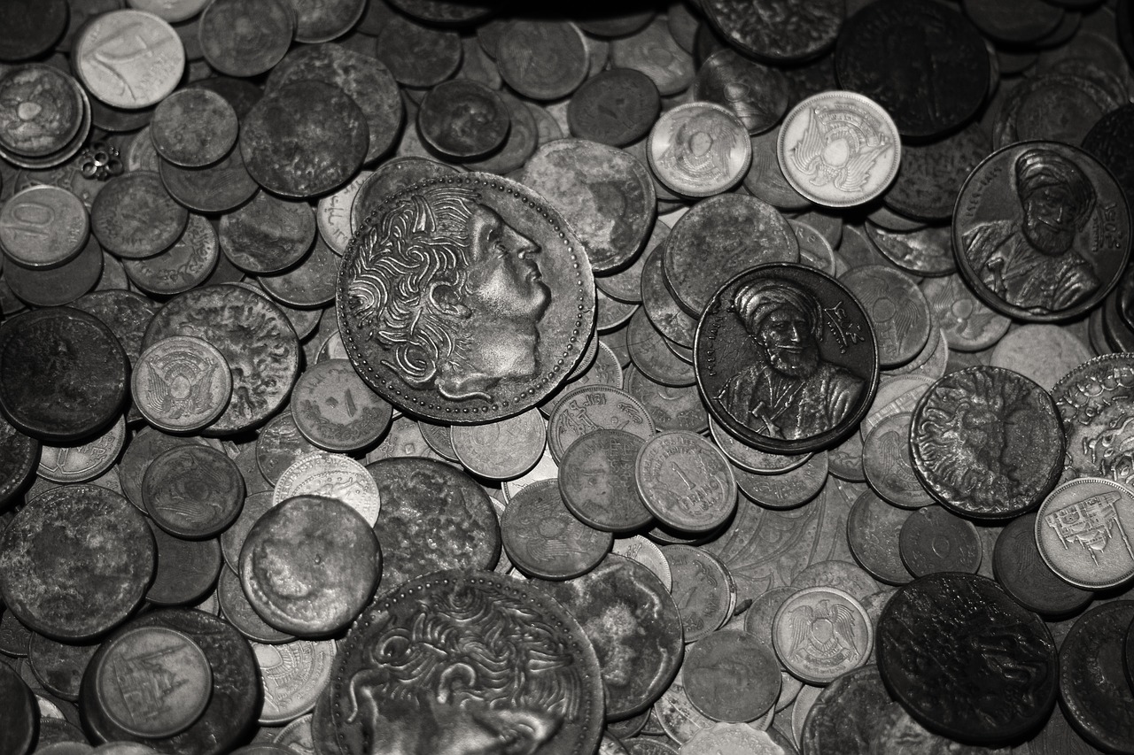money finance coins free photo