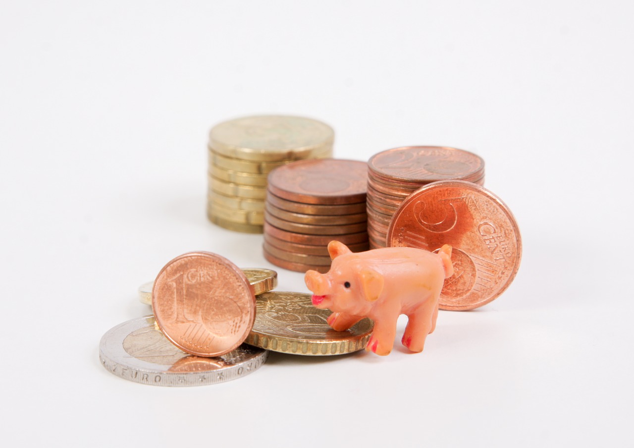 money piggy bank coins free photo