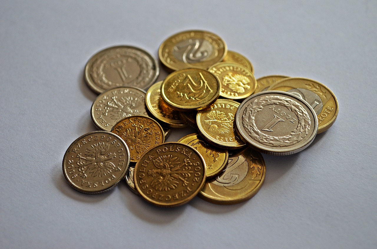 money coins currency free photo