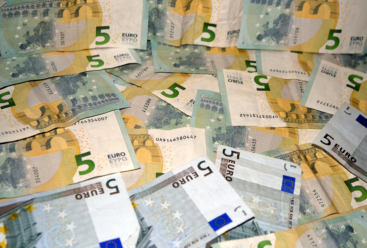 money euro currency free photo