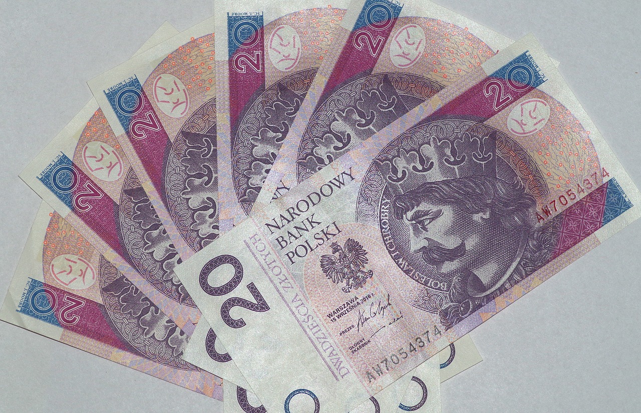 money euro banknotes polish zloty free photo