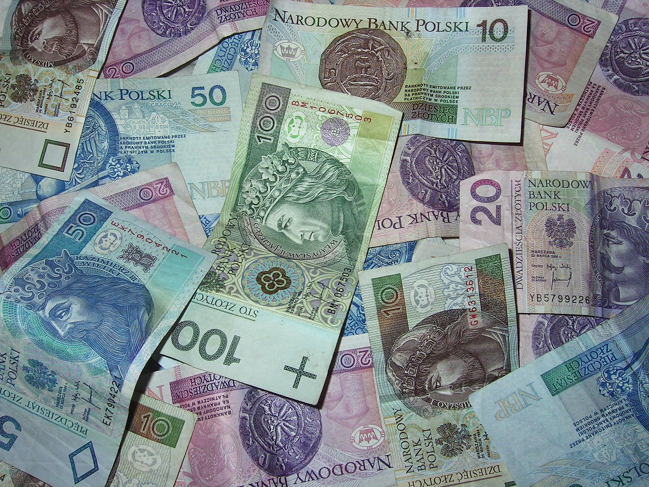 money polish banknotes buck free photo