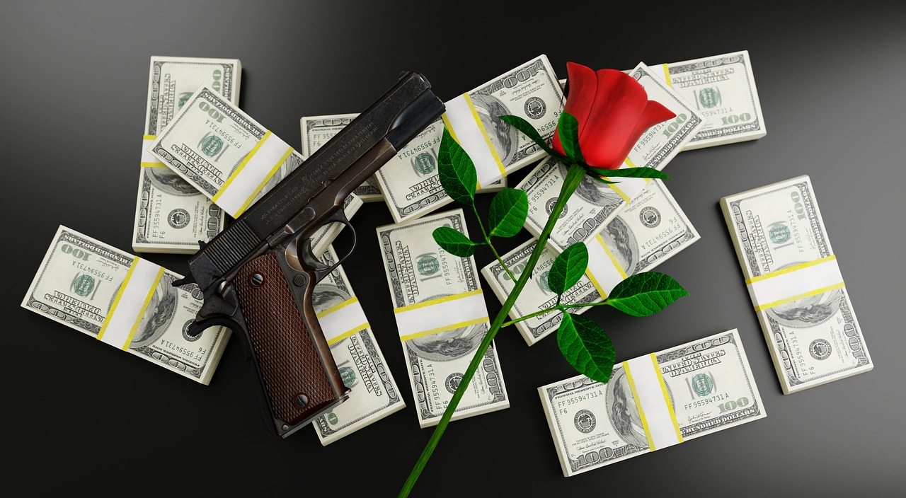 money  gun  rose free photo