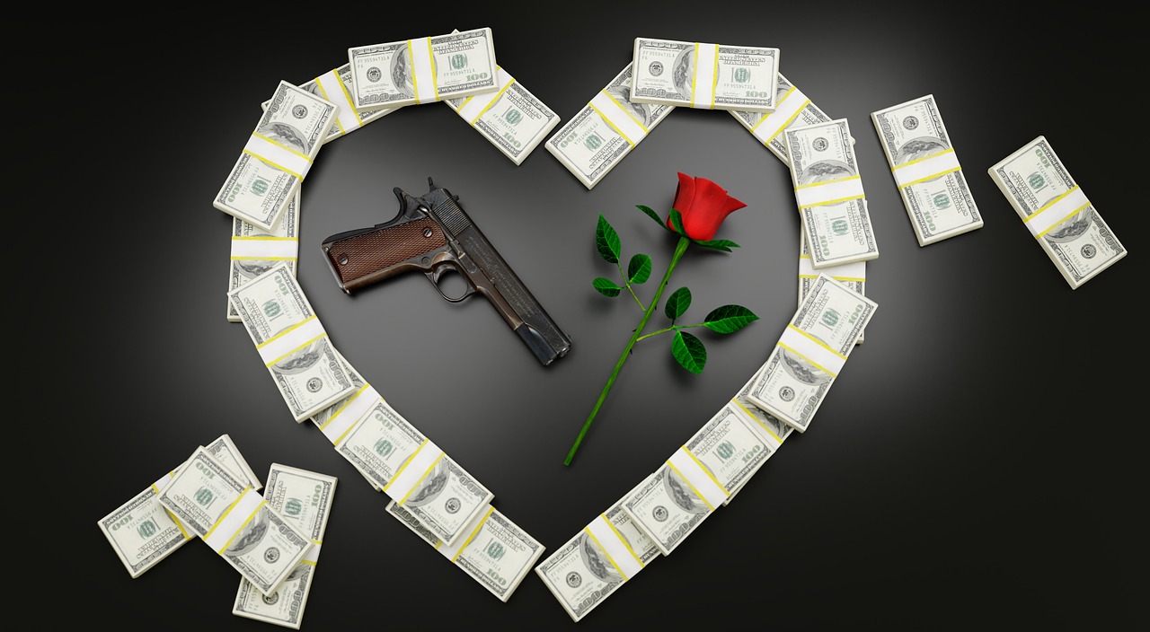 money  gun  rose free photo