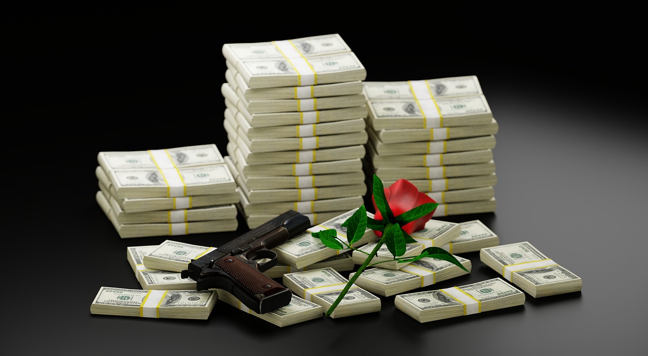 money  gun  rose free photo