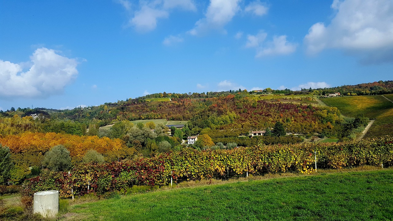 monferrato autumn campaign free photo