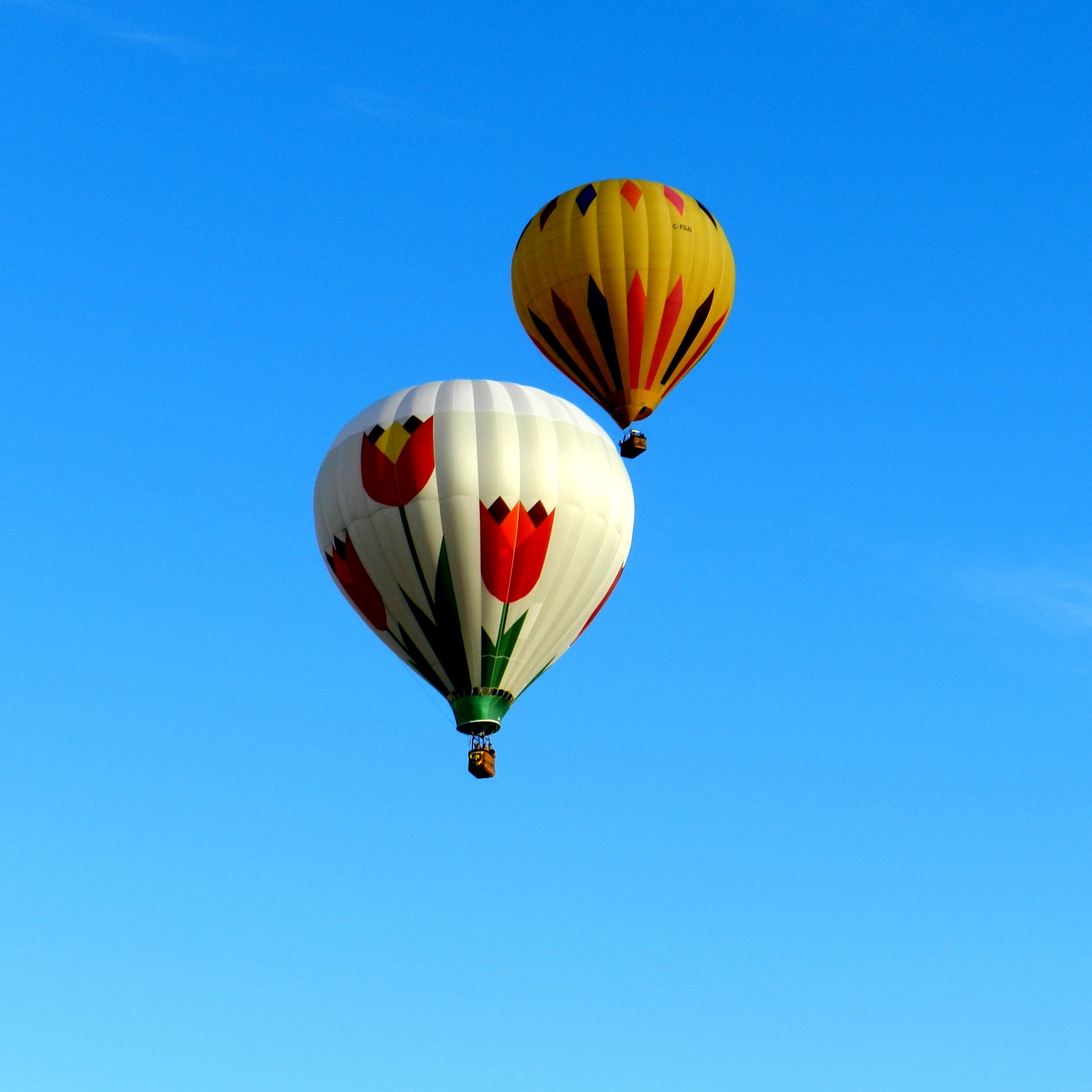 hot air balloon sky hot air balloons # 4 free photo