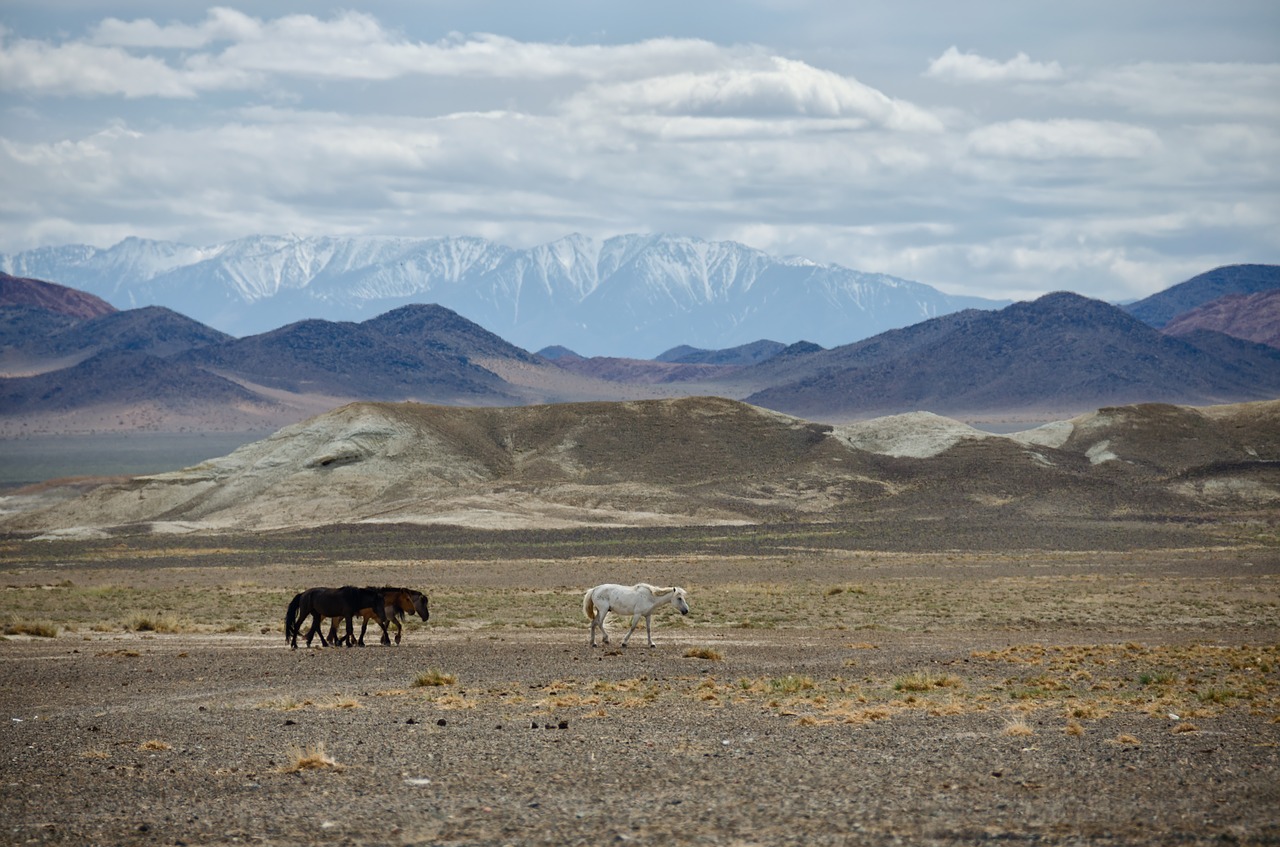 mongolia mountains nature free photo