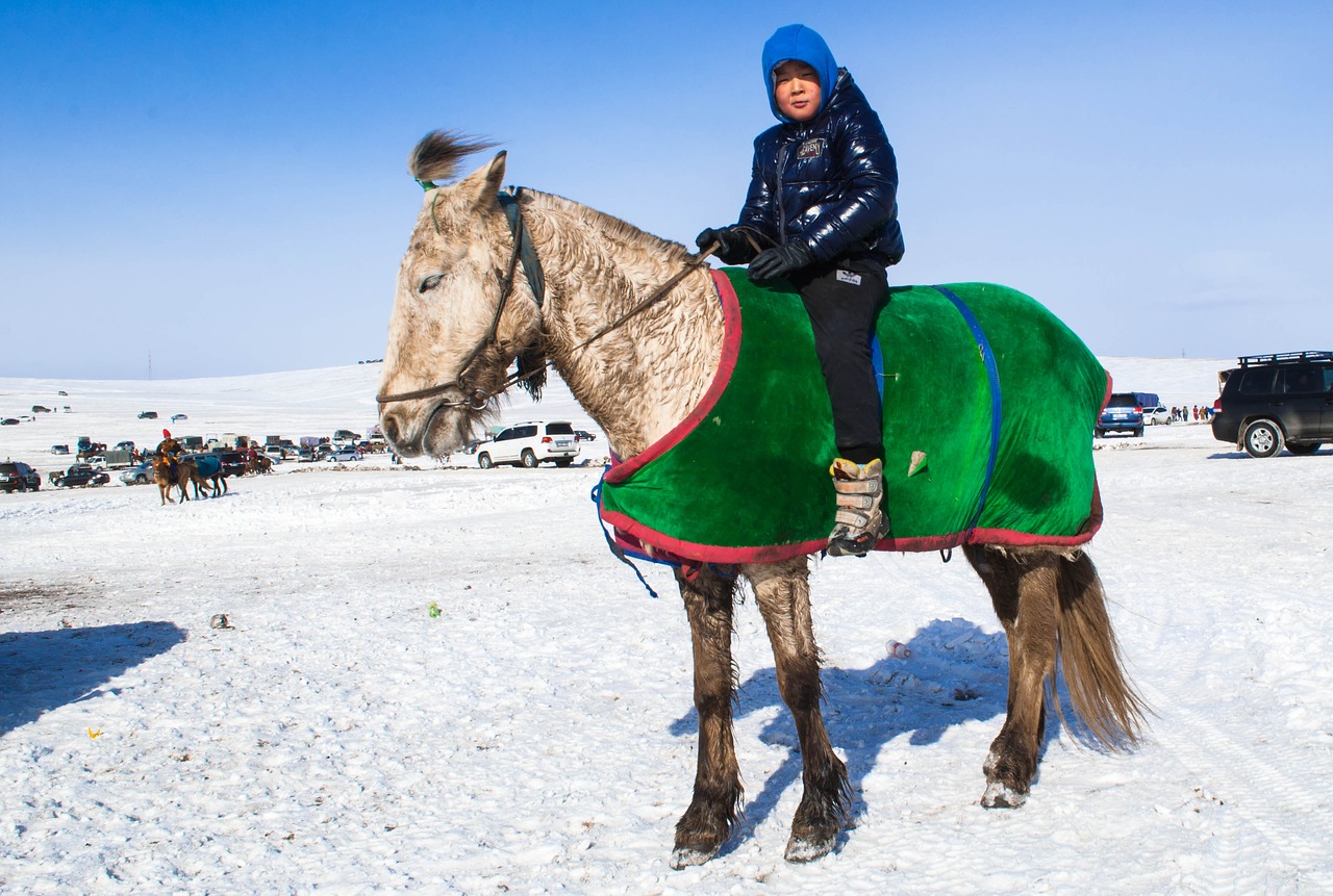 mongolia winter kid free photo