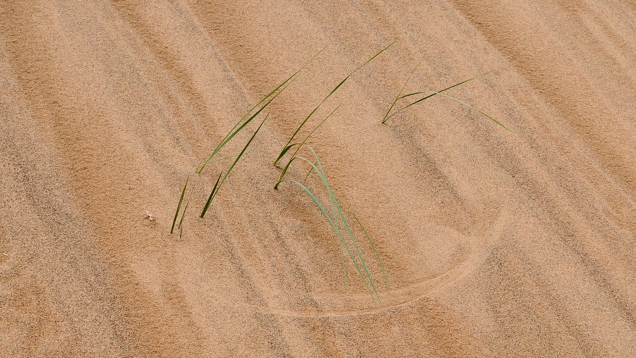 mongolia desert structure free photo