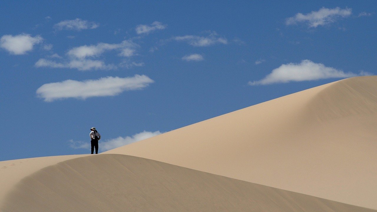 mongolia desert sand dunes free photo