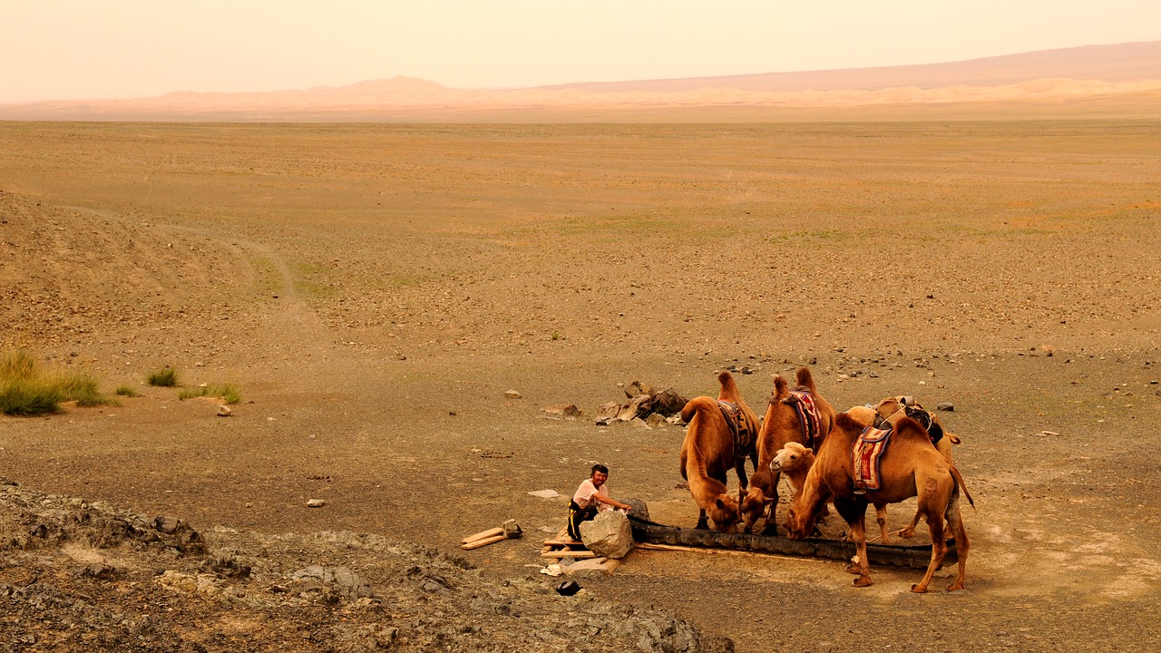 mongolia sand desert free photo