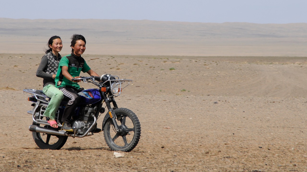 mongolia joy desert free photo