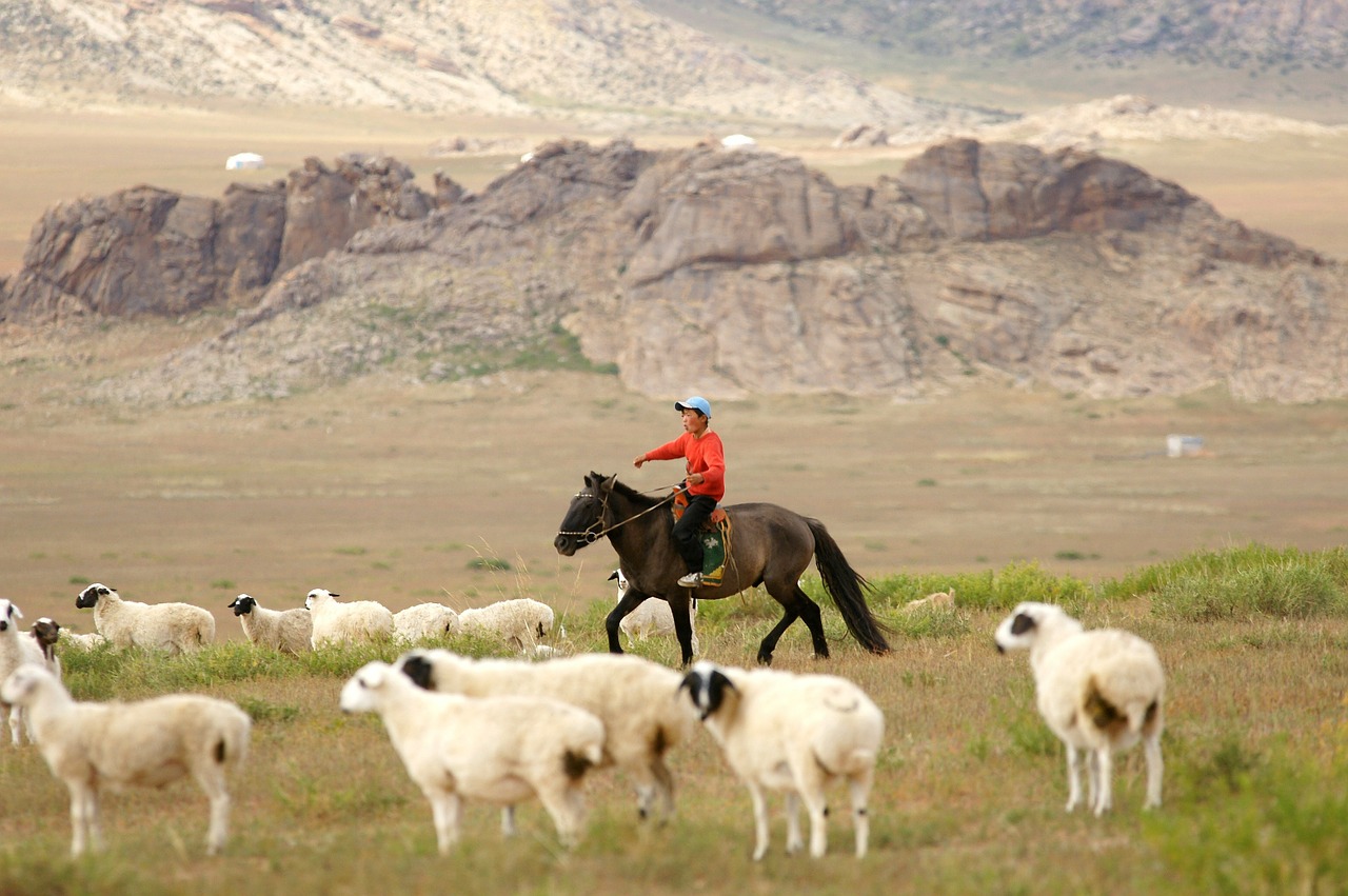 mongolia horse rider free photo