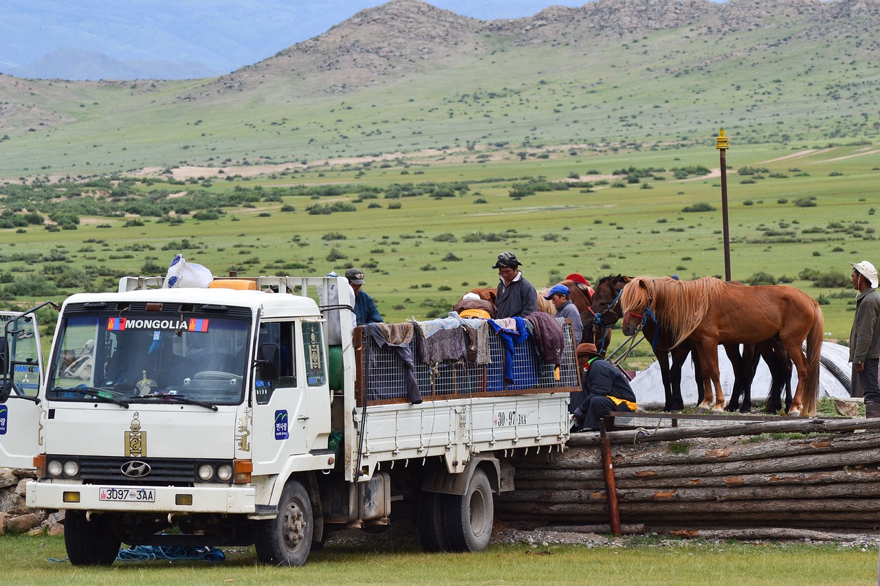 mongolia steppe horses free photo