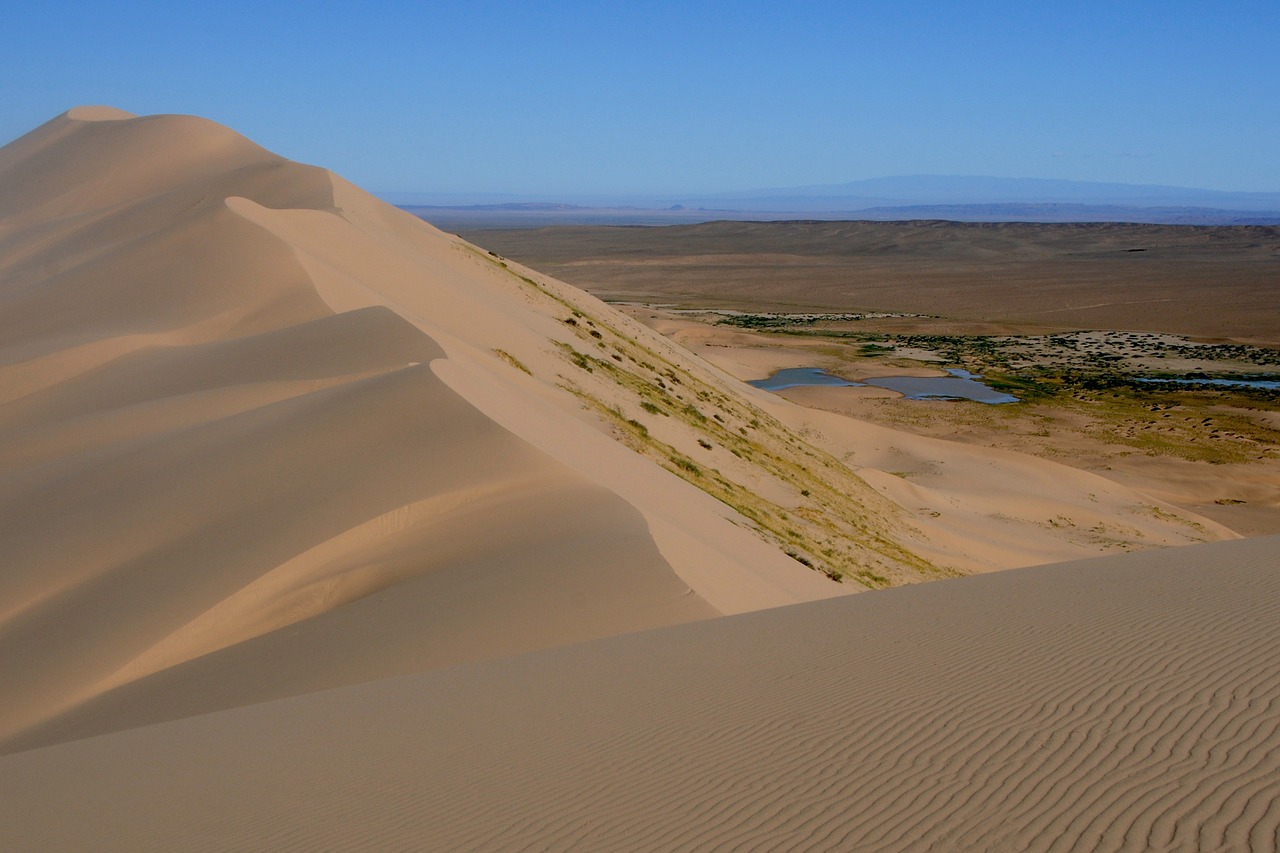 mongolia dune gobi free photo