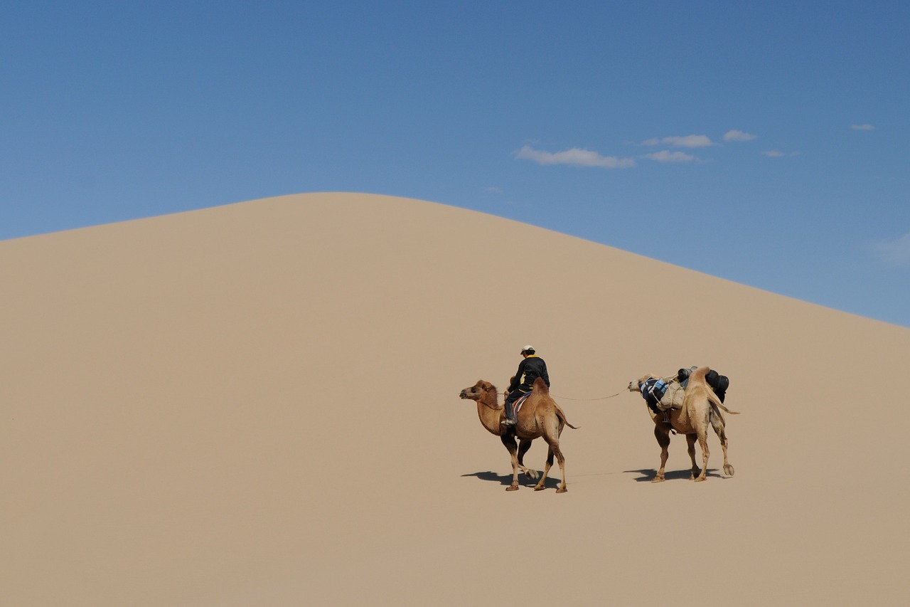 mongolia desert gobi free photo
