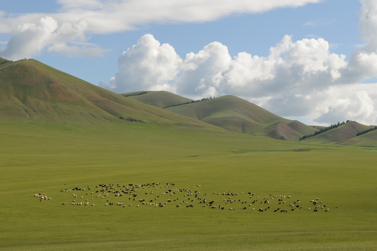mongolia landscape wide free photo