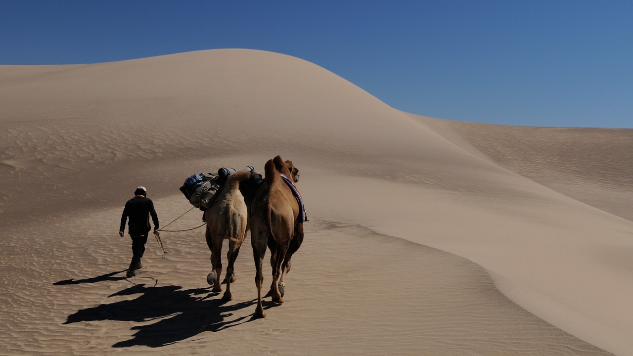 mongolia nomad dune free photo