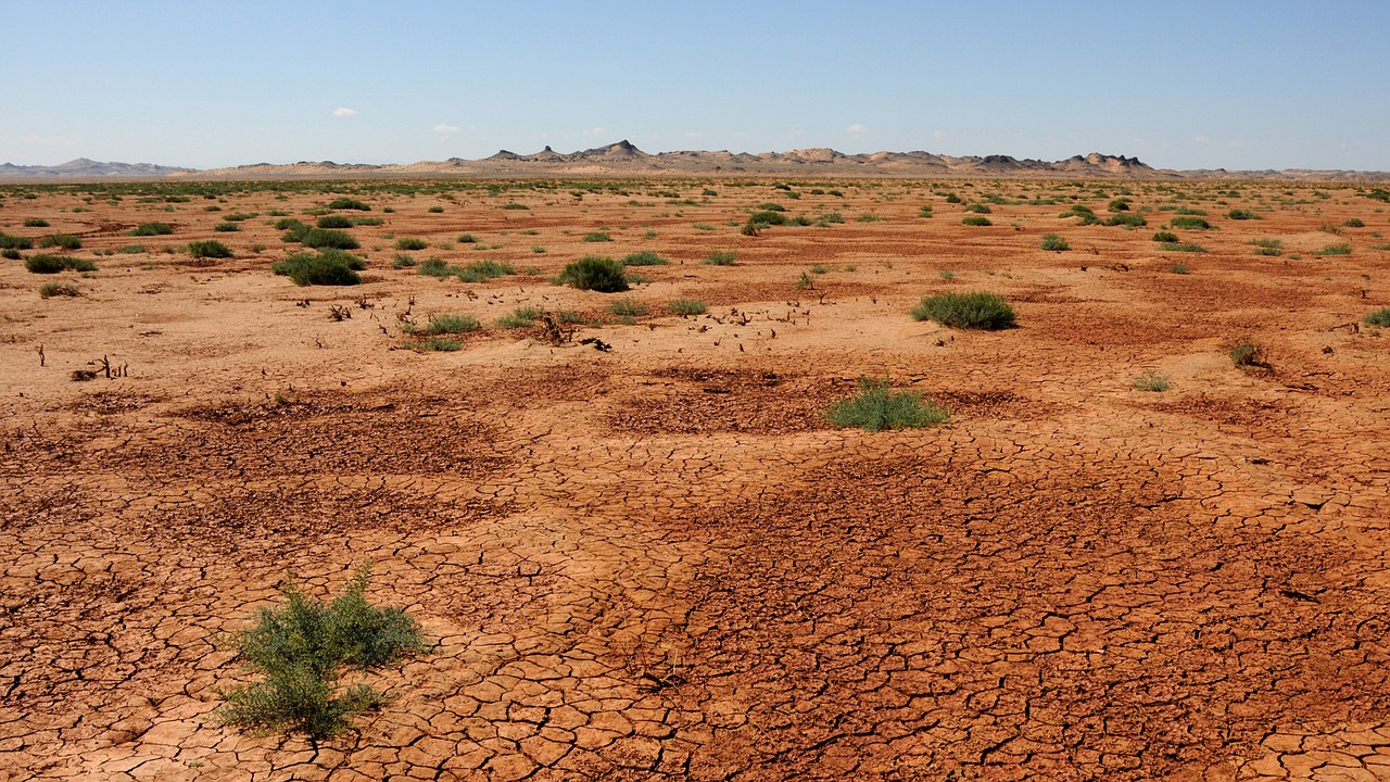 mongolia sand desert free photo