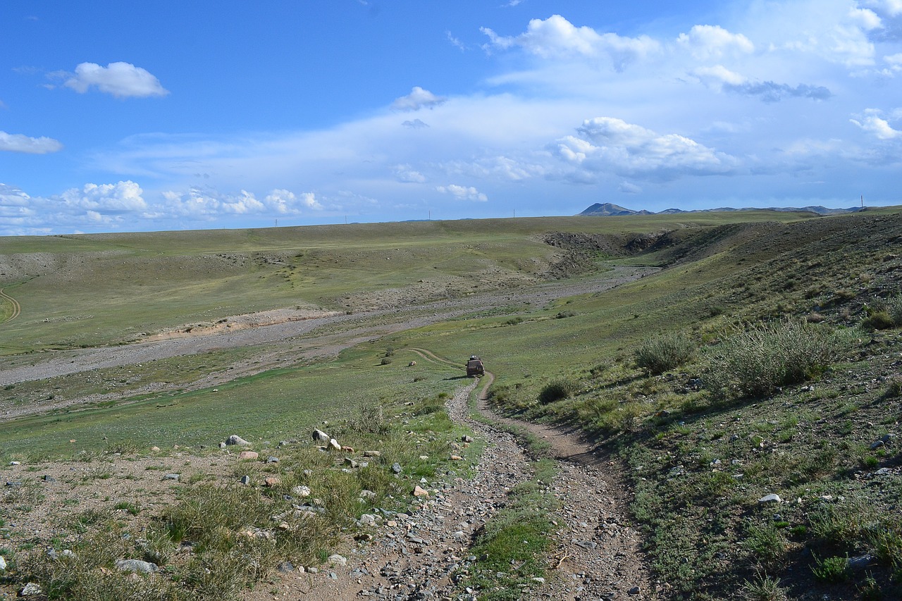 mongolia steppe track free photo