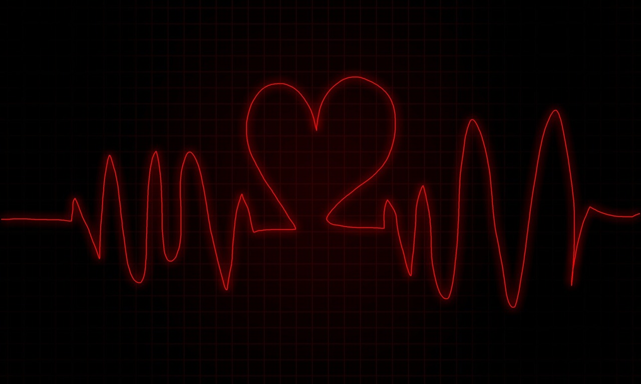 monitor heart beat free photo
