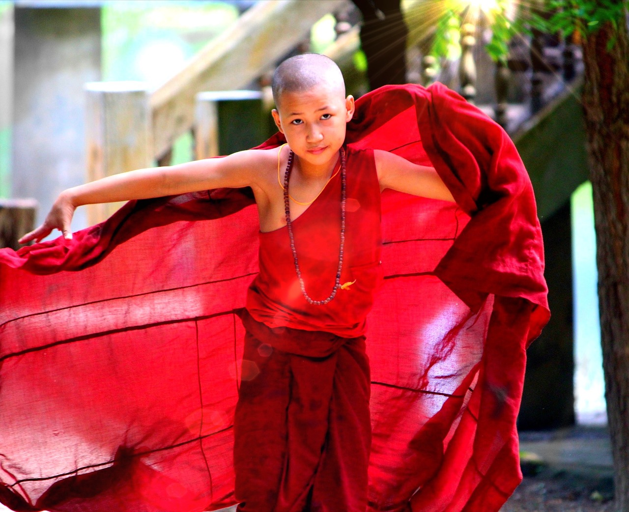 monk myanmar red free photo