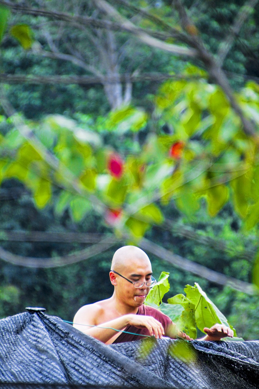 monk bhikkhu monk at work free photo