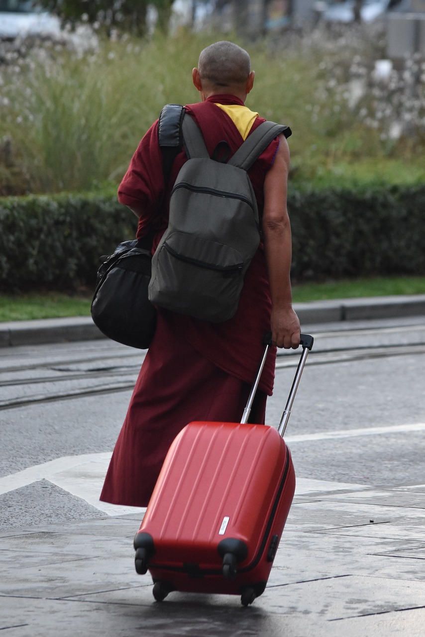 monk travel suitcase free photo