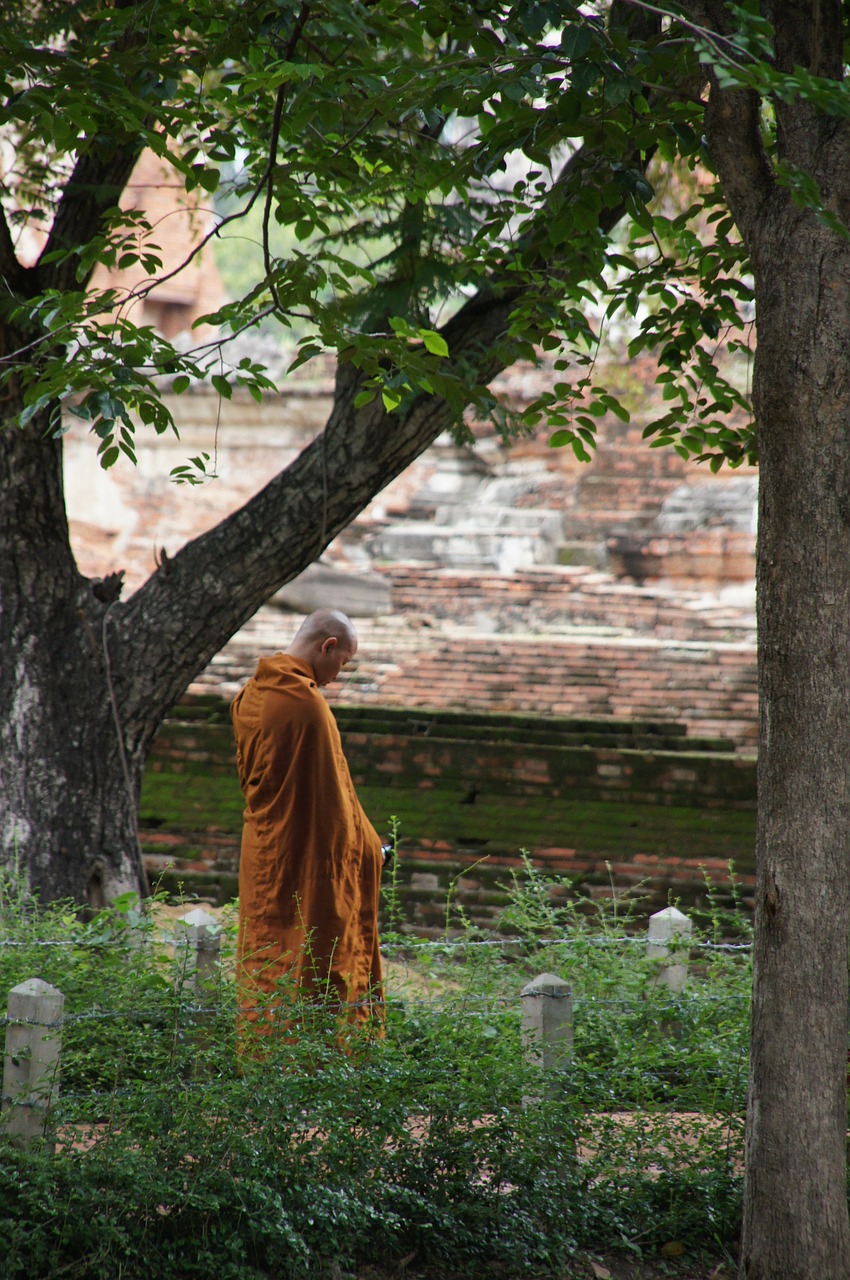 monk munk thailand free photo