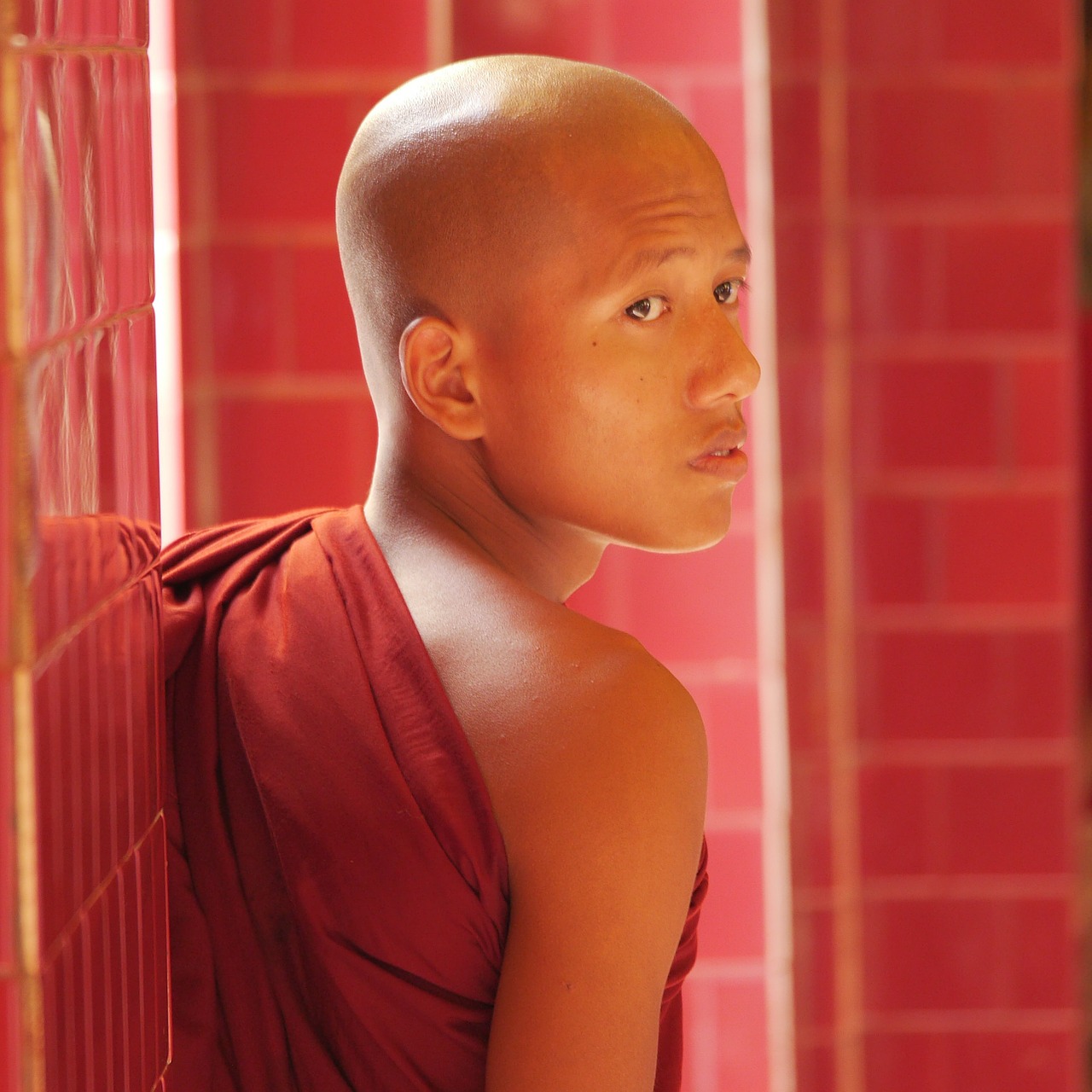 monk myanmar buddhist free photo