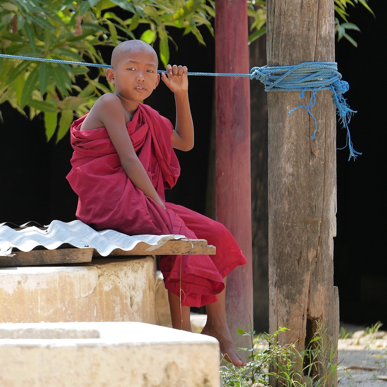 monk novice burma free photo